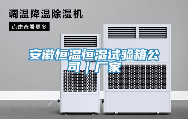 安徽恒溫恒濕試驗(yàn)箱公司｜廠家