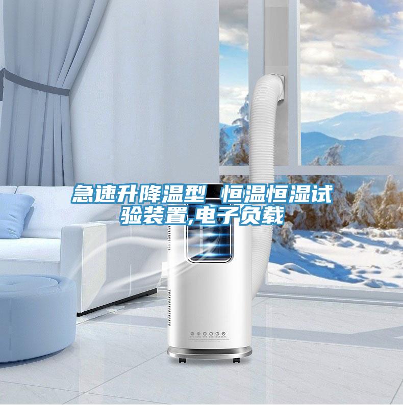 急速升降溫型 恒溫恒濕試驗裝置,電子負(fù)載