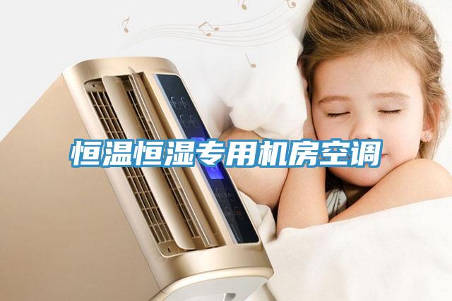 恒溫恒濕專用機房空調