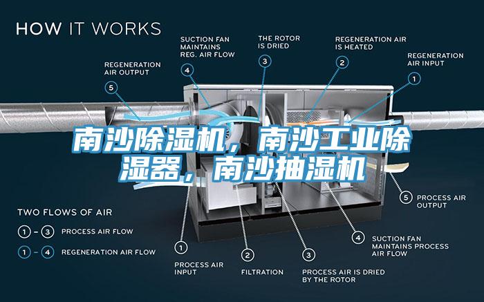 南沙除濕機，南沙工業(yè)除濕器，南沙抽濕機