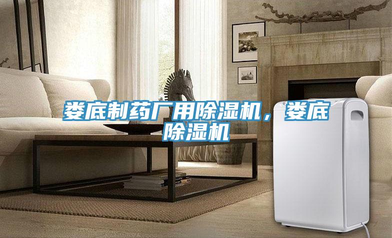 婁底制藥廠用除濕機，婁底除濕機