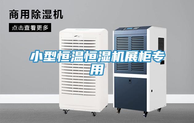 小型恒溫恒濕機(jī)展柜專用