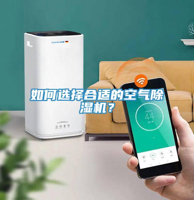 如何選擇合適的空氣除濕機？