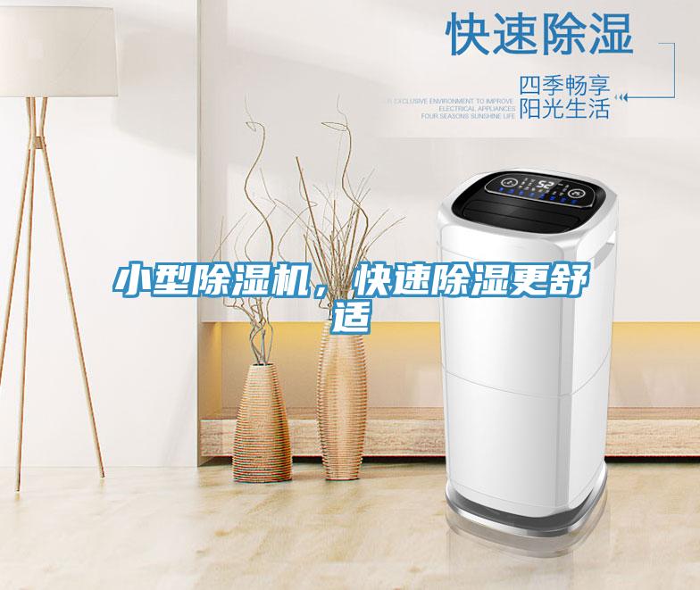 小型除濕機，快速除濕更舒適