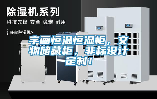 字畫恒溫恒濕柜，文物儲藏柜，非標設計定制！