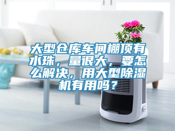 大型倉庫車間棚頂有水珠,量很大,要怎么解決,用大型除濕機有用嗎?