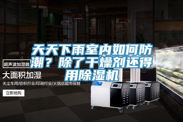 天天下雨室內如何防潮？除了干燥劑還得用除濕機