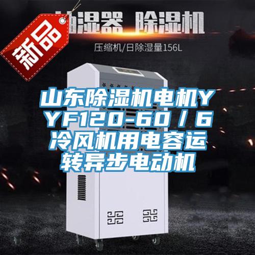 山東除濕機電機YYF120-60/6冷風機用電容運轉異步電動機