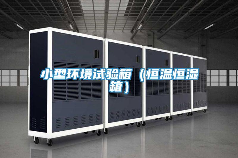小型環境試驗箱(恒溫恒濕箱)