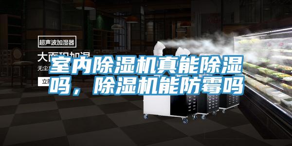 室內(nèi)除濕機(jī)真能除濕嗎,除濕機(jī)能防霉嗎