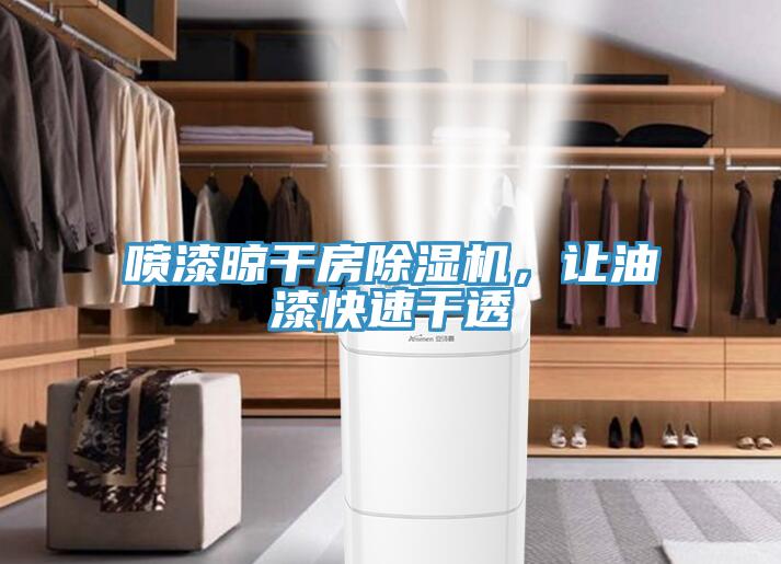 噴漆晾干房除濕機,讓油漆快速干透