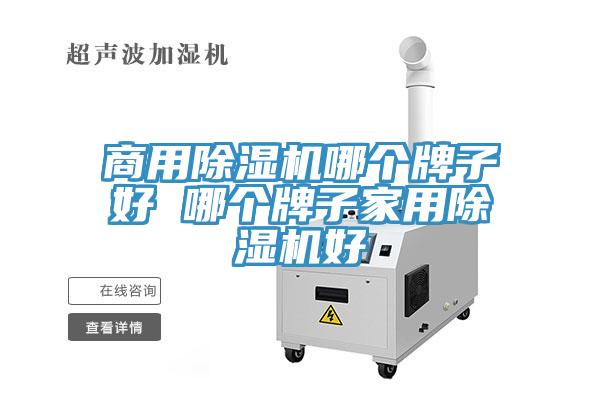 商用除濕機哪個牌子好 哪個牌子家用除濕機好