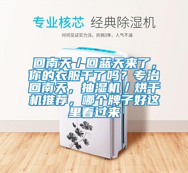 回南天／回藍天來了，你的衣服干了嗎？專治回南天，抽濕機／烘干機推薦，哪個牌子好這里看過來