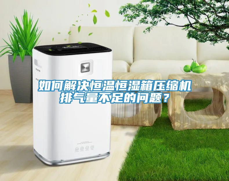如何解決恒溫恒濕箱壓縮機排氣量不足的問題?