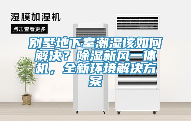 別墅地下室潮濕該如何解決？除濕新風(fēng)一體機(jī)，全新環(huán)境解決方案