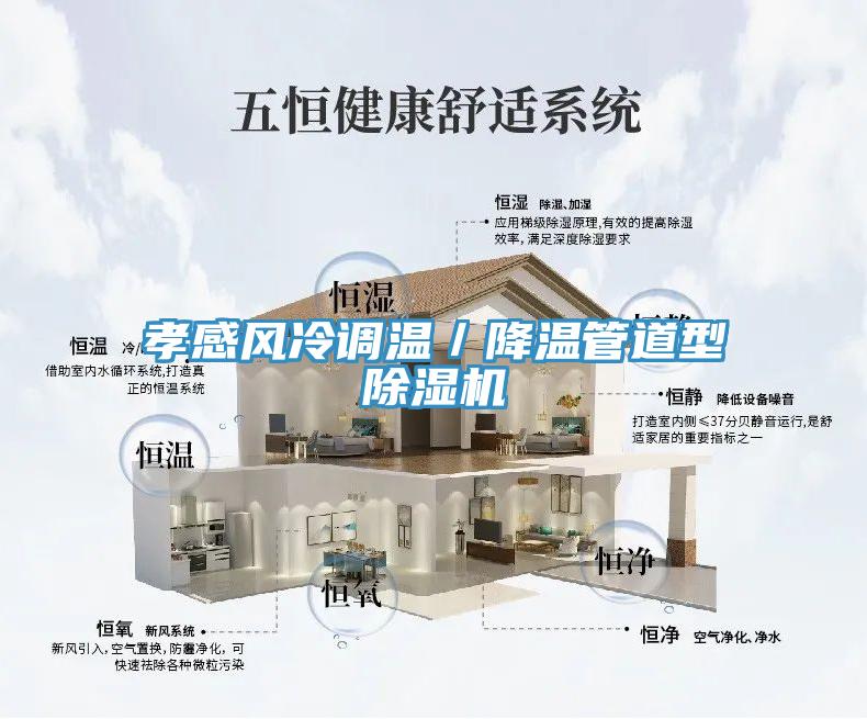 孝感風冷調(diào)溫／降溫管道型除濕機