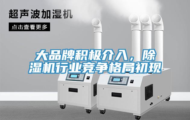 大品牌積極介入，除濕機行業競爭格局初現