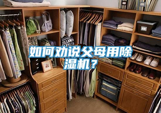 如何勸說父母用除濕機?