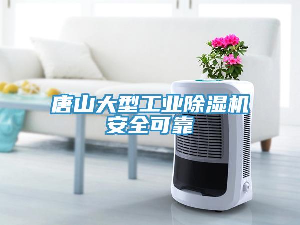 唐山大型工業(yè)除濕機(jī)安全可靠