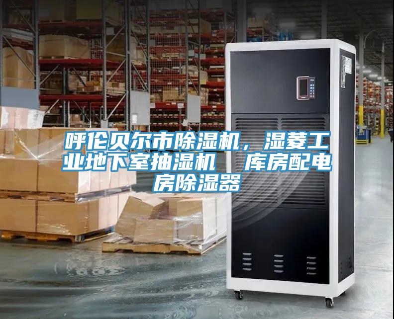呼倫貝爾市除濕機(jī),濕菱工業(yè)地下室抽濕機(jī) 庫房配電房除濕器