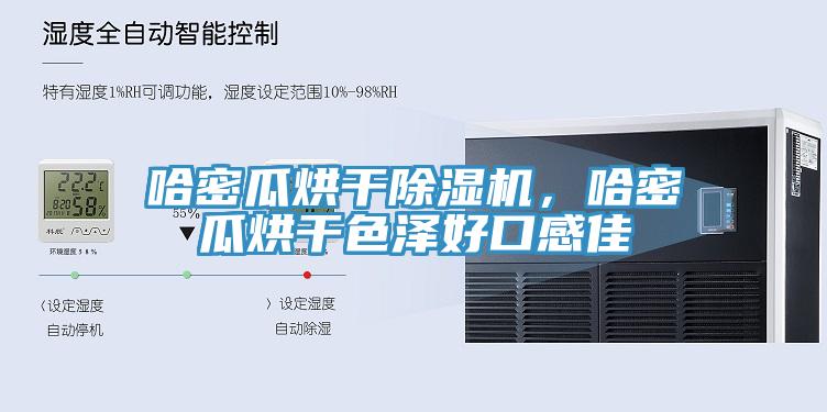 哈密瓜烘干除濕機(jī)，哈密瓜烘干色澤好口感佳