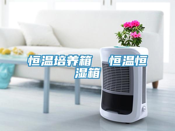 恒溫培養箱 恒溫恒濕箱