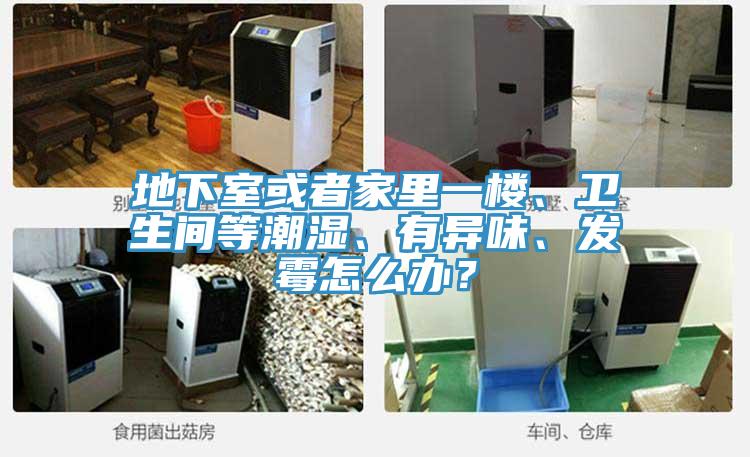 地下室或者家里一樓、衛生間等潮濕、有異味、發霉怎么辦？
