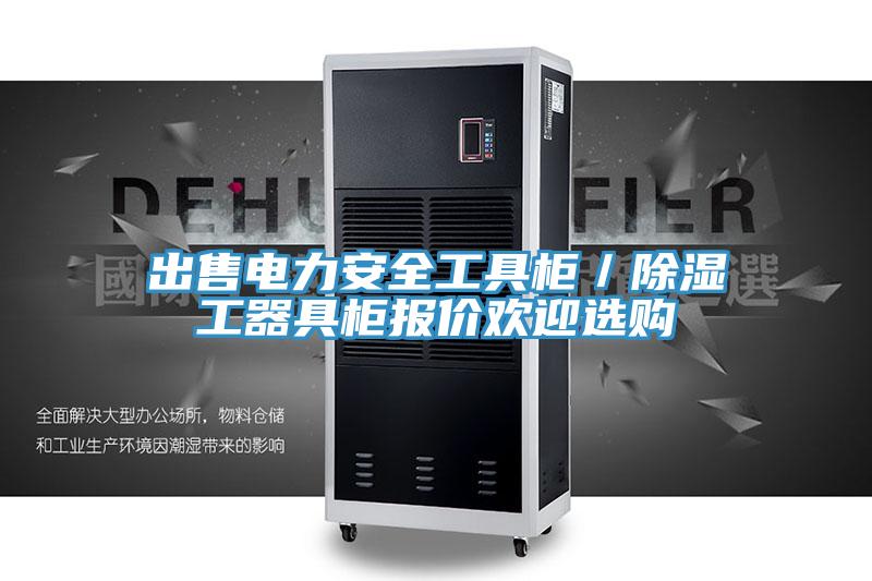出售電力安全工具柜/除濕工器具柜報價歡迎選購