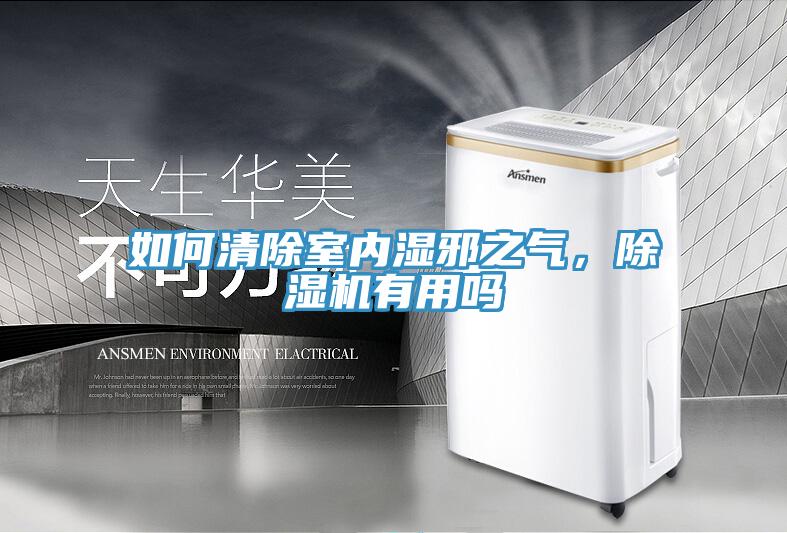 如何清除室內濕邪之氣,除濕機有用嗎