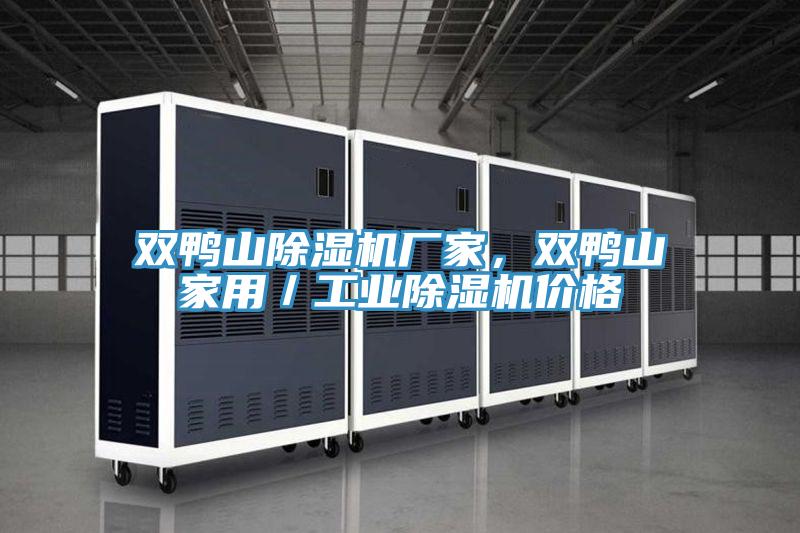 雙鴨山除濕機廠家,雙鴨山家用/工業除濕機價格