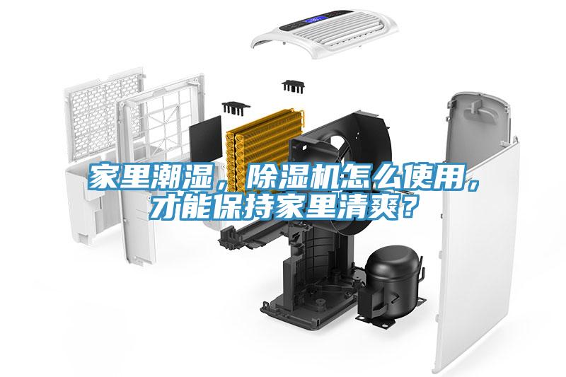 家里潮濕，除濕機怎么使用，才能保持家里清爽？