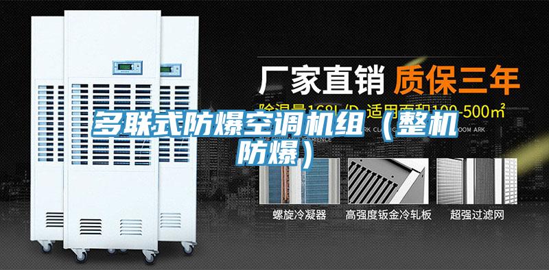 多聯式防爆空調機組（整機防爆）