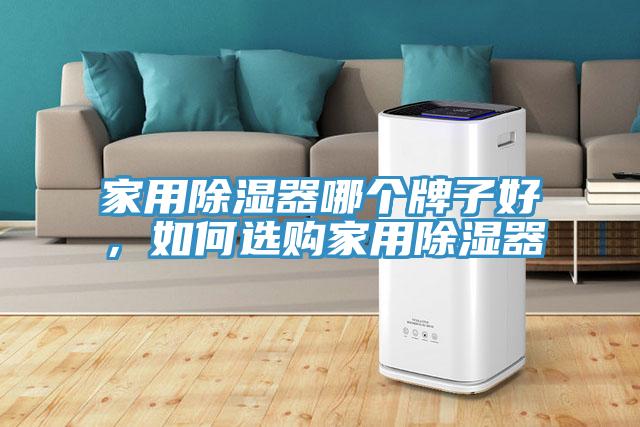 家用除濕器哪個牌子好，如何選購家用除濕器