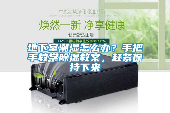 地下室潮濕怎么辦?手把手教學除濕教案,趕緊保持下來