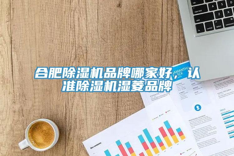 合肥除濕機品牌哪家好，認(rèn)準(zhǔn)除濕機濕菱品牌