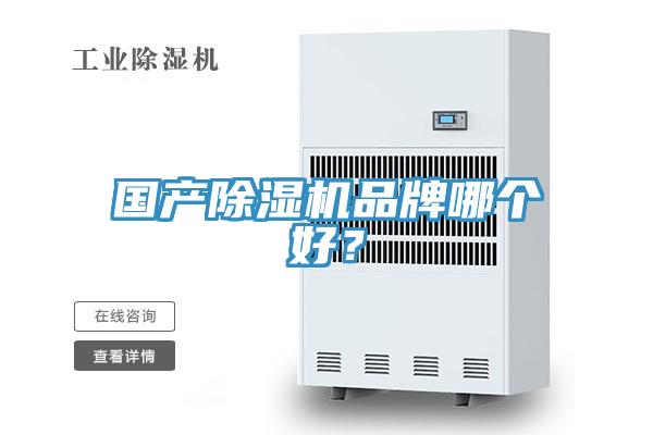 國產除濕機品牌哪個好？