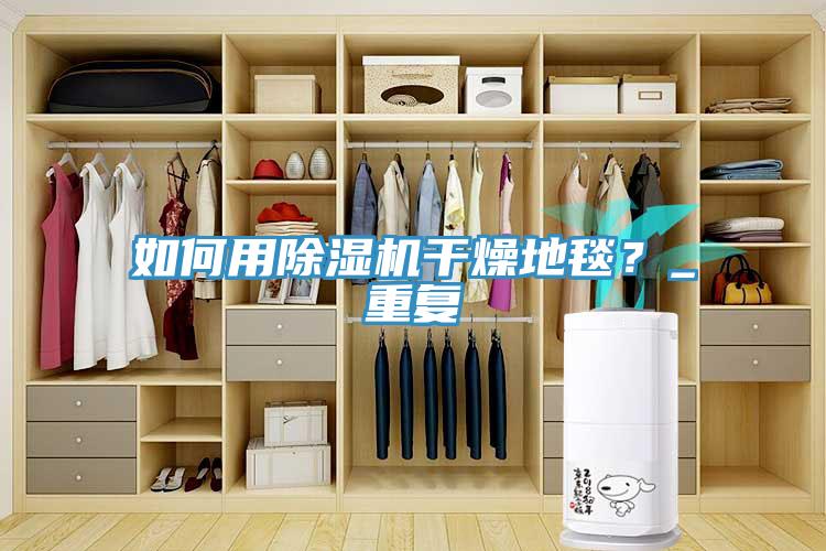 如何用除濕機干燥地毯?_重復