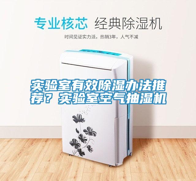 實驗室有效除濕辦法推薦？實驗室空氣抽濕機