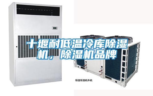 十堰耐低溫冷庫除濕機，除濕機品牌