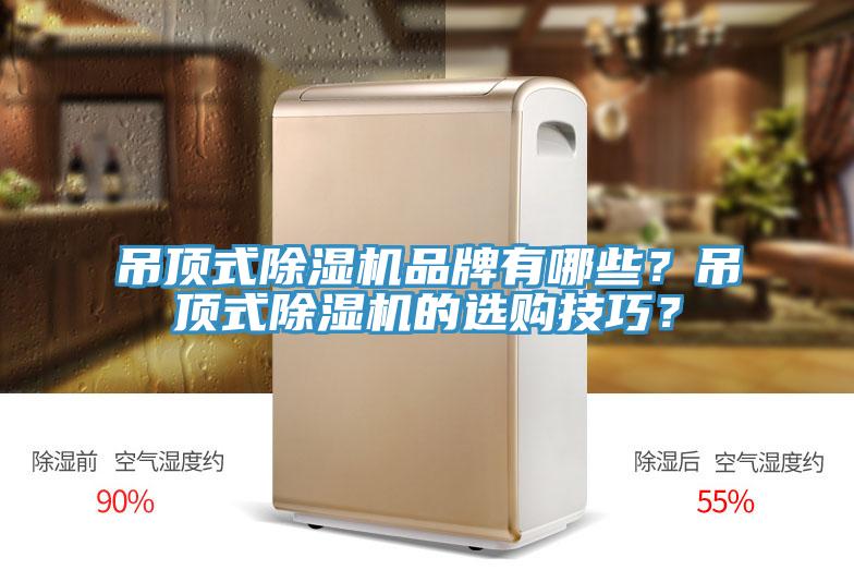 吊頂式除濕機品牌有哪些？吊頂式除濕機的選購技巧？