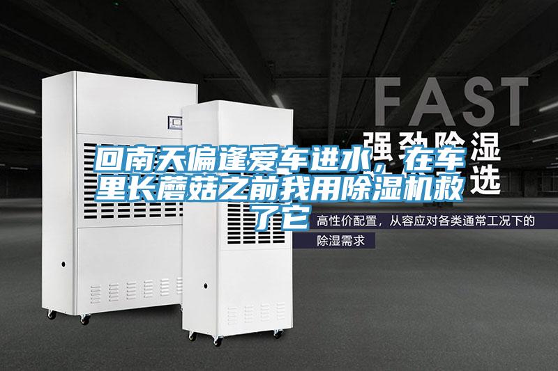回南天偏逢愛車進(jìn)水，在車?yán)镩L蘑菇之前我用除濕機(jī)救了它