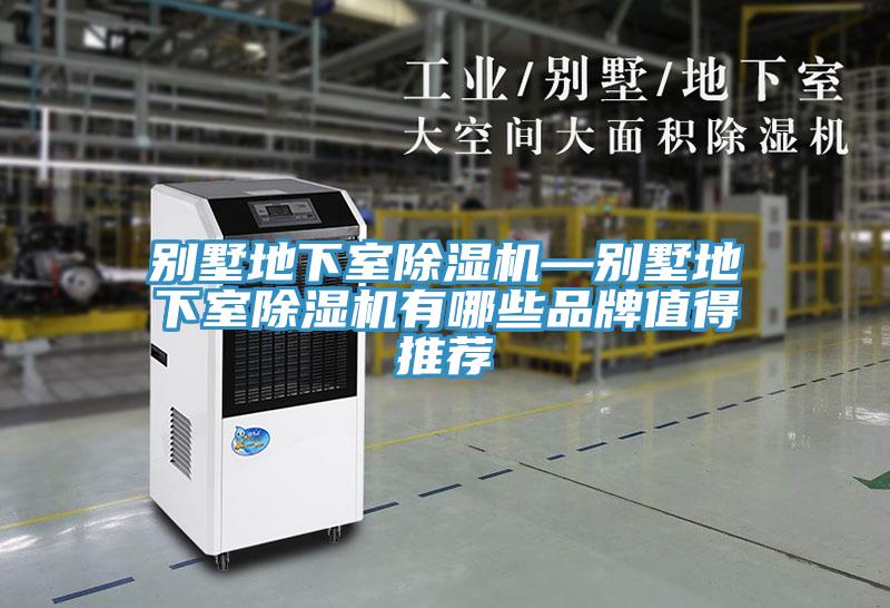 別墅地下室除濕機(jī)—?jiǎng)e墅地下室除濕機(jī)有哪些品牌值得推薦