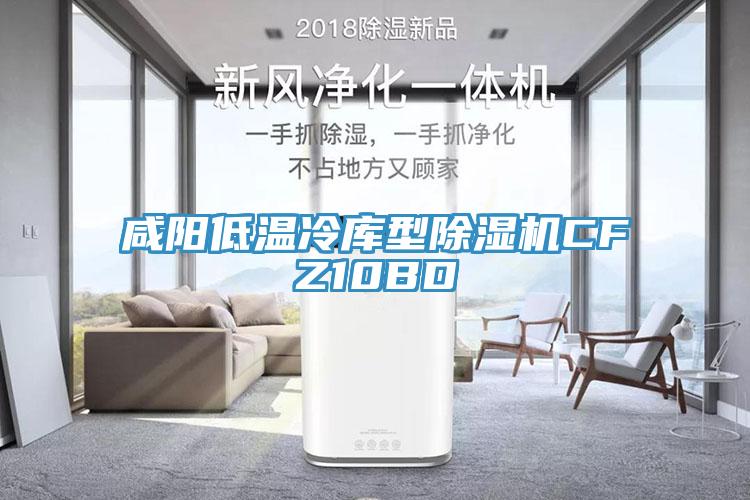 咸陽低溫冷庫型除濕機(jī)CFZ10BD