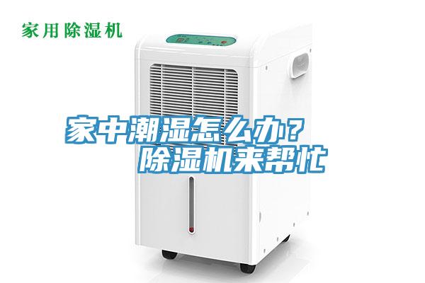 家中潮濕怎么辦? 除濕機(jī)來幫忙