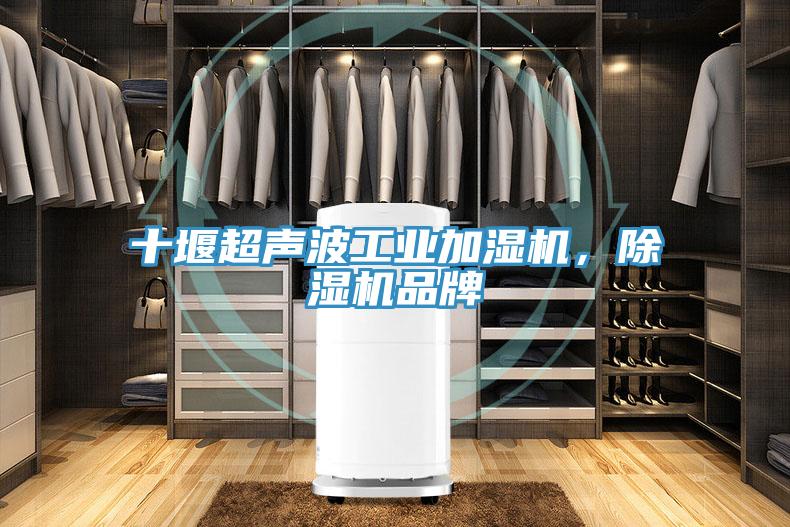 十堰超聲波工業(yè)加濕機，除濕機品牌