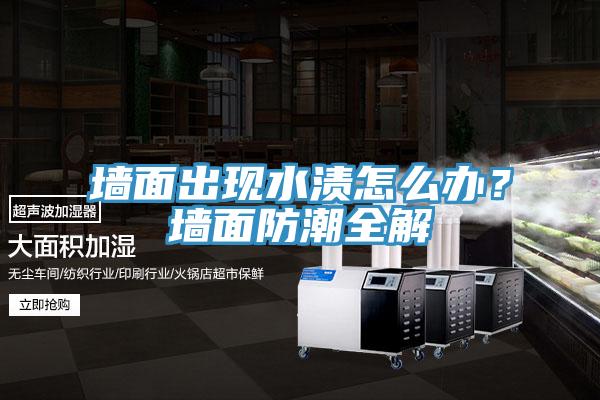 墻面出現(xiàn)水漬怎么辦？墻面防潮全解