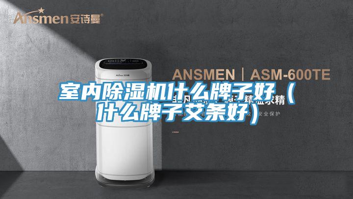 室內除濕機什么牌子好(什么牌子艾條好)