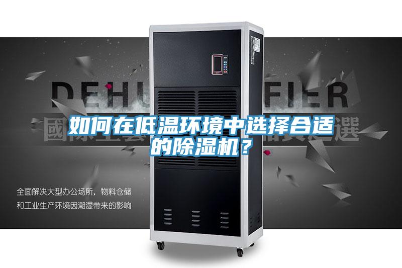 如何在低溫環境中選擇合適的除濕機?