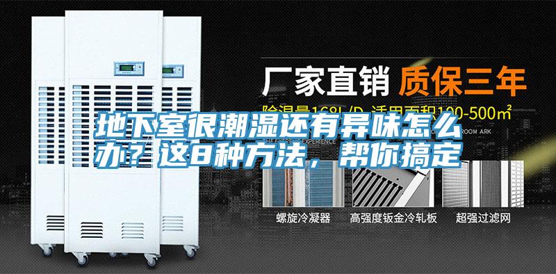 地下室很潮濕還有異味怎么辦?這8種方法,幫你搞定