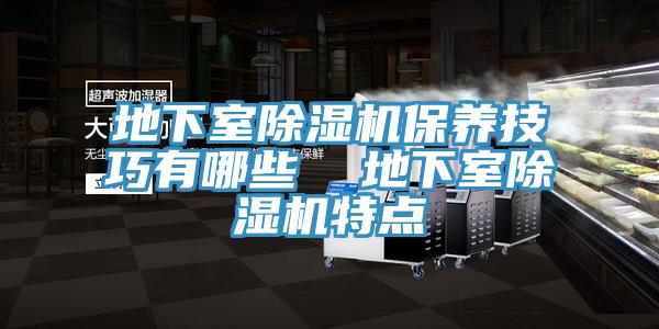 地下室除濕機保養技巧有哪些  地下室除濕機特點
